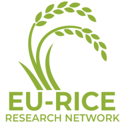 EU-RICE Research Network logo